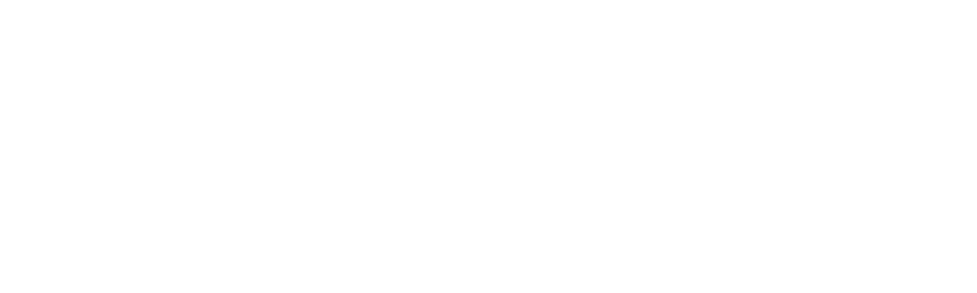 Flow Momentum